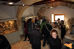 Santa Ninfa 19 11 2016 201.jpg